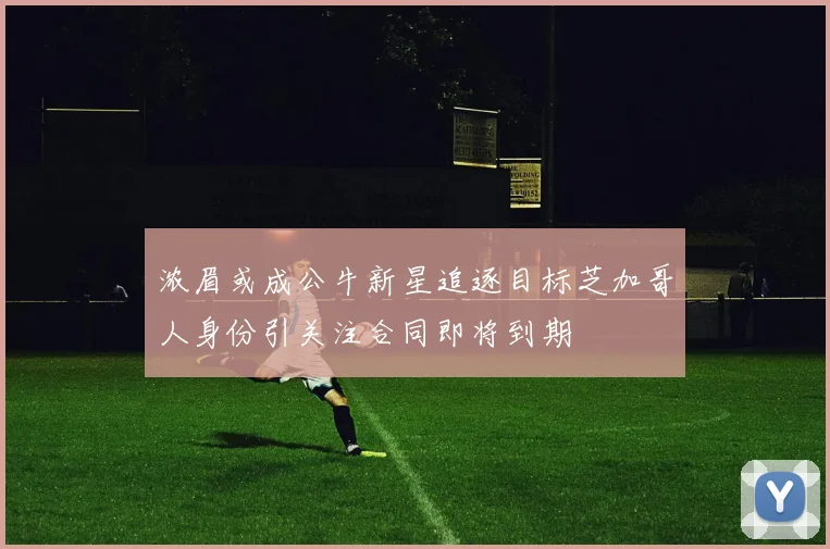 浓眉或成公牛新星追逐目标芝加哥人身份引关注合同即将到期