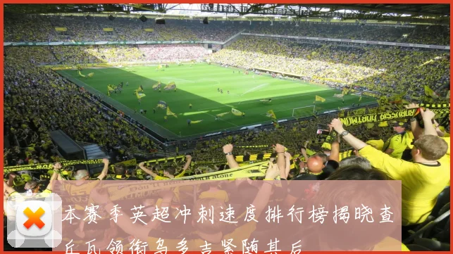 本赛季英超冲刺速度排行榜揭晓查丘瓦领衔乌多吉紧随其后