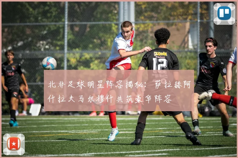 北非足球明星阵容揭秘：萨拉赫阿什拉夫马尔穆什共筑豪华阵容