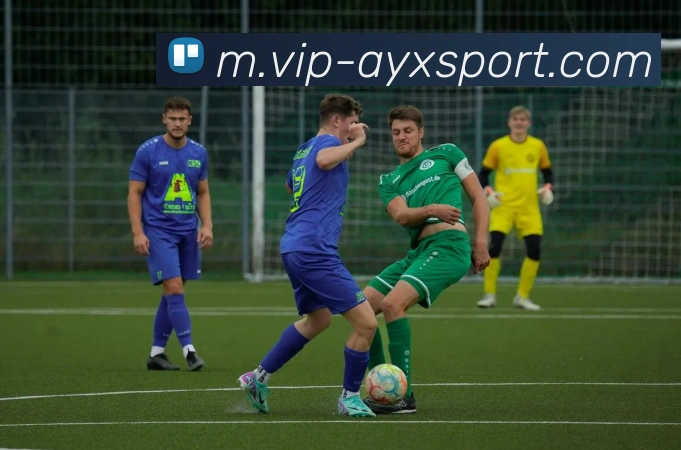 爱游戏体育服务体系