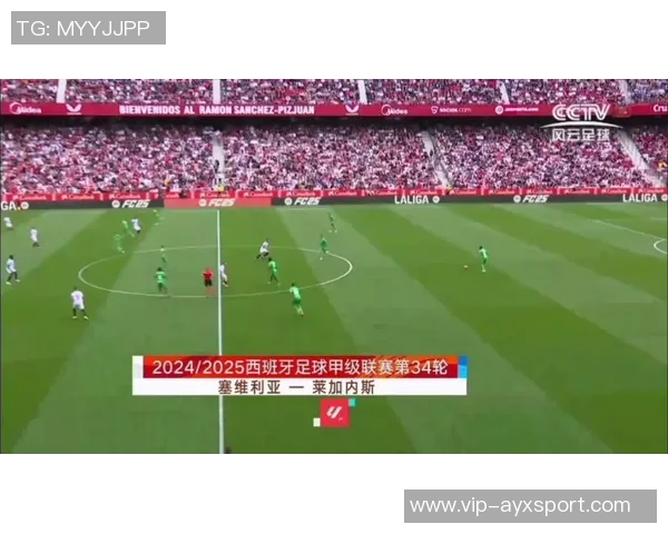 西甲联盟因球场积雪达20厘米申请推迟比赛天气影响引发关注